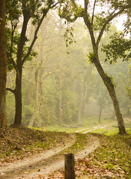 GARUMARA NATIONAL PARK