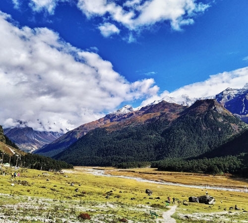 03 Nights/04 Days Himalaya Tour with Gangtok